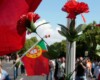 25 DE ABRIL: A REVOLUÇÃO DOS CRAVOS E O DESPERTAR DE UMA GERAÇÃO EM ANGOLA.